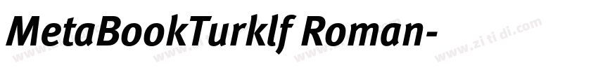 MetaBookTurklf Roman字体转换
